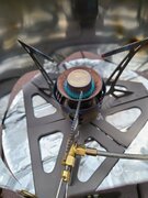 20210608_081743.jpg