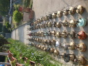 SDC10498.JPG