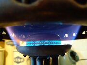 oDSC_3779.jpg