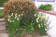 100_0576.JPG