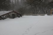 1391005489-IMG_7929.jpg