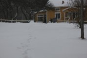 1391005517-IMG_7930.jpg
