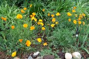 100_3477.JPG