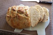 100_3498.JPG