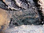 1246902829-inside_royal_rayburn.jpg