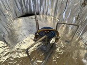 IMG_4701.jpeg
