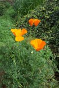 100_6464.JPG