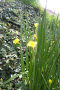 100_6465.JPG