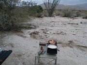 20240314_080147.jpg