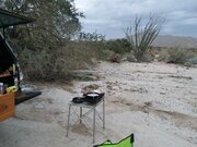 20240314_081612.jpg