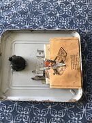 IMG_1290.jpeg
