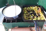 100_7185.JPG
