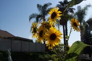 100_7188.JPG