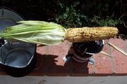 100_7490.JPG