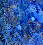 upload_2024-6-21_15-48-28.jpeg