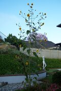 100_7539.JPG