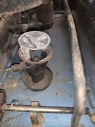 IMG_1155.jpeg