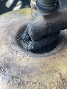 IMG_0044.jpeg
