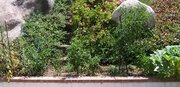100_7807.JPG