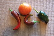 100_7811.JPG