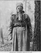 osowiec.jpg