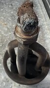 IMG_3469.jpeg