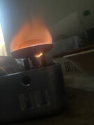 IMG_5235.jpeg