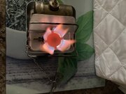 IMG_3317.jpg