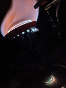 IMG_5200.jpeg