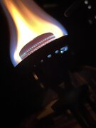 IMG_2785.jpeg