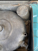 IMG_4425.jpeg