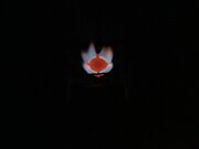 IMG_1395.jpeg