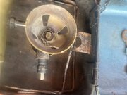 IMG_7901.jpeg