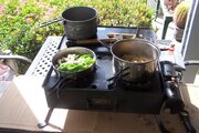 100_1151.JPG