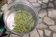 100_1302.JPG