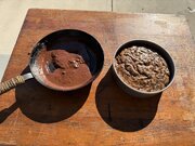 IMG_5023.jpeg