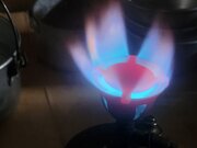 20260127_115027.jpg