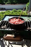 100_2212.JPG