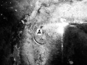 IMG_3496.jpeg