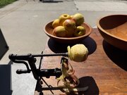 IMG_7166.jpeg