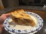 IMG_7184.jpeg