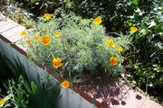 100_2542.JPG