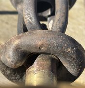 IMG_4050.jpeg