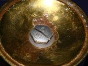 1342336688-Radius05_opt.jpg
