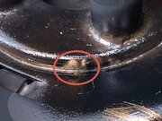 IMG_5198.jpeg