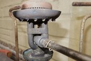 DSC00785.JPG
