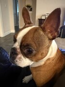 IMG_8092.jpeg