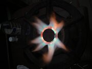 IMG_8133.jpeg