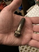 IMG_5613.jpeg