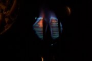 100_9555.JPG